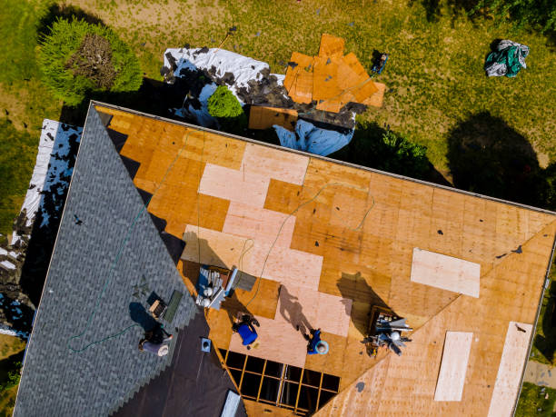 Best Storm Damage Roof Repair  in Longview, TX