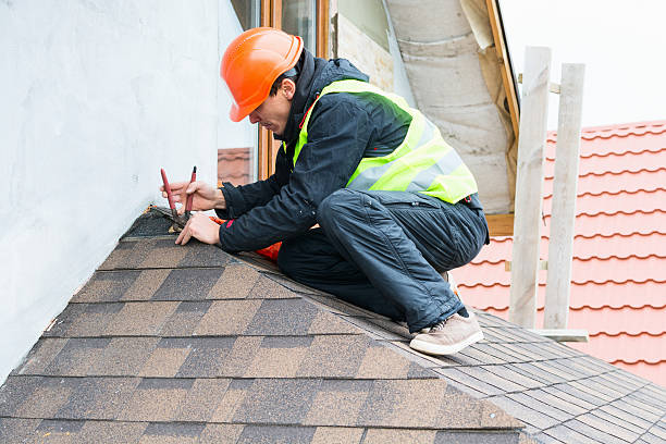 Best Roof Gutter Cleaning  in Longview, TX